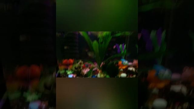 Грунт кварц цветной в аквариум. PRIME смотреть онлайн