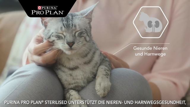 Purina Proplan Cat Sterilized TV spots смотреть онлайн