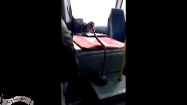 Не смотреть   Порвешь пупок от смеха  Приколы 2016