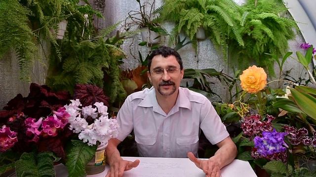 Целесообразность увеличения нормы расхода ядохимикатов в защите растений смотреть онлайн