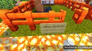 ОБЗОР НА КСК??/МАЙНРАЙДИНГ/КОННЫЙ СПОРТ В МАИНКРАФТ/ЛОШАДИ