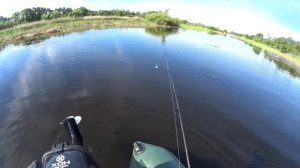 Рыбалка 2020. В поисках хищника. Красноперка на вертушку