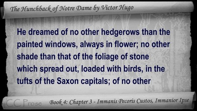 Book 04 - The Hunchback of Notre Dame Audiobook by Victor Hugo (Chs 1-6) смотреть онлайн