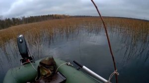 Установка кружков на Щуку