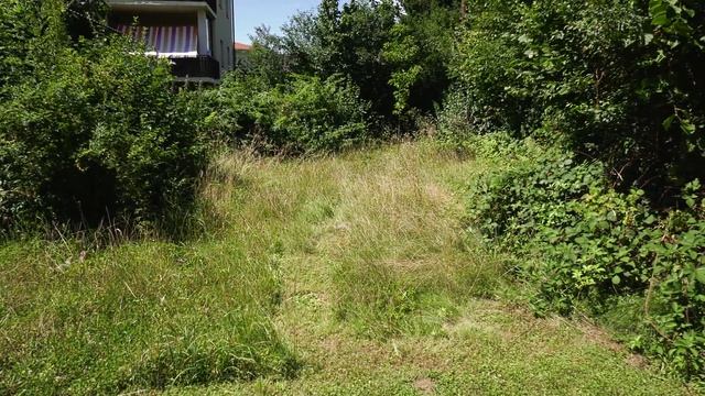 HC X1 im Garten am 17 Juli2017 kurz смотреть онлайн