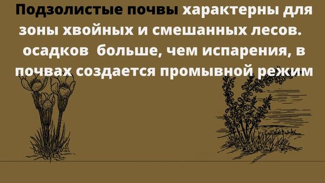 Почва - тема. Виды почв смотреть онлайн