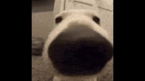 CUPSIZE - Юра, Юра (sped up)