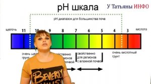 Древесный уголь и зола как удобрение для огорода. Древесный уголь повышает урожайность на огороде.