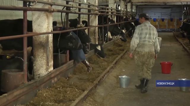 Ученые Кузбасской ГСХА сделали прорыв в генной инженерии смотреть онлайн