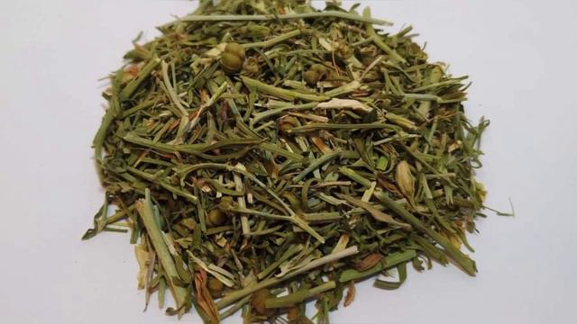 2022 Yilda Kam Pul Bilan Qaday Biznes Boshlash Mumkin? Biznes G'oya ! смотреть онлайн