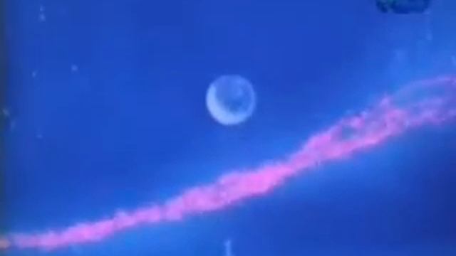 Тонкие руки смотреть онлайн