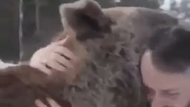 Российская семья 25 лет живет с медведем Степаном смотреть онлайн