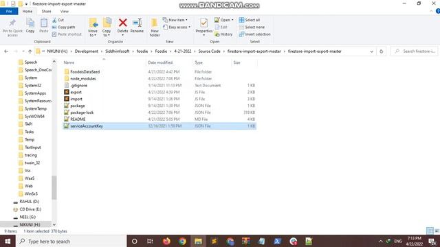 Foodie - Firestore Database Collection Import Export смотреть онлайн