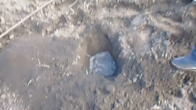 ПОСАДКА САЖЕНЦЕВ, СЕЕМ, ПАШЕМ - ВЕСНА!!! смотреть онлайн