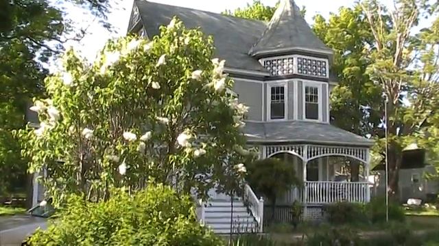our house.MOD смотреть онлайн