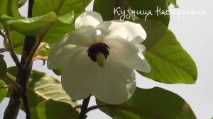 26 февраля Прощеное Воскресенье. Что нельзя делать 26 февраля. Народные традиции и приметы