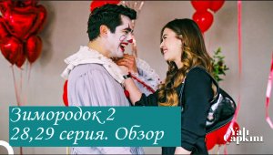 Зимородок 2. Новая 28, 29 серия. Обзор