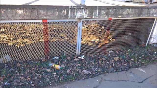 Подлипки -Дачные, станция с неуважением к жителям Королёва. 11. 11. 2018 смотреть онлайн