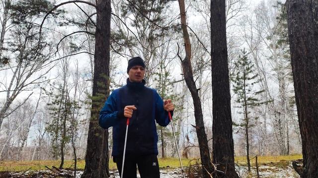 Лыжная имитация. Что, как, когда и сколько.