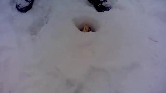 Рыбалка на Краснооскольском водохранилище смотреть онлайн