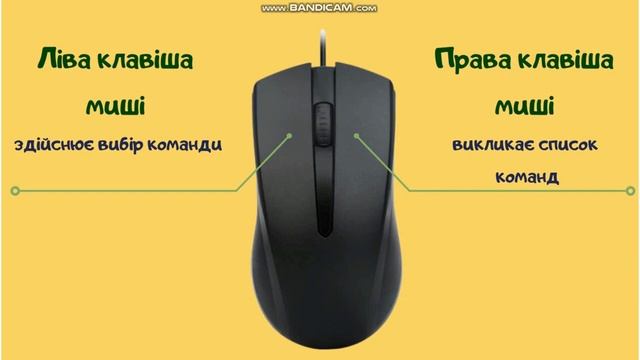 Інформатика, 2 клас: "Комп’ютерна миша. Увімкнення та вимкнення комп’ютера". смотреть онлайн