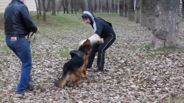 Очередная тренировка Юджена смотреть онлайн