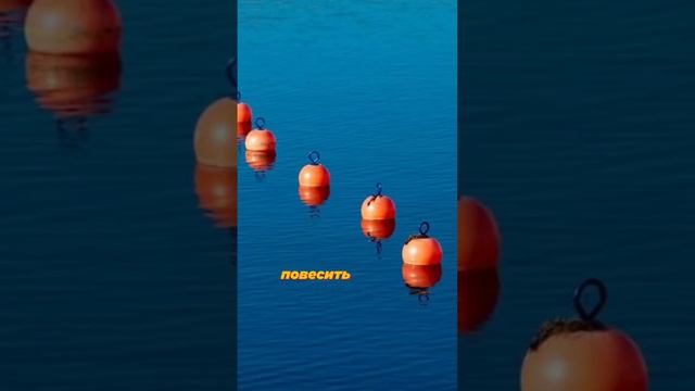 2/5 фактов, о которых надо знать перед приездом в Кондуки. Подпишись #кондуки#тула#лето#москва#отды смотреть онлайн
