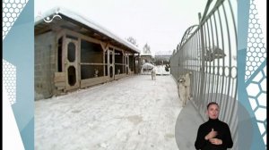 По секрету всему свету. Хаски (сурдоперевод)