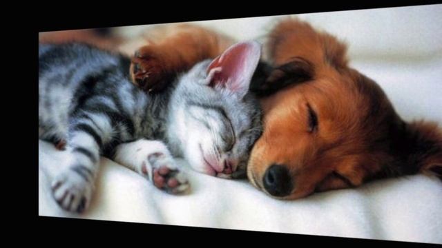 Ой Ходить Сон Ukrainian Lullaby by Mykola Kolessa Anastasiya Peretyahina Taras Abazopulo -Yashchenk смотреть онлайн