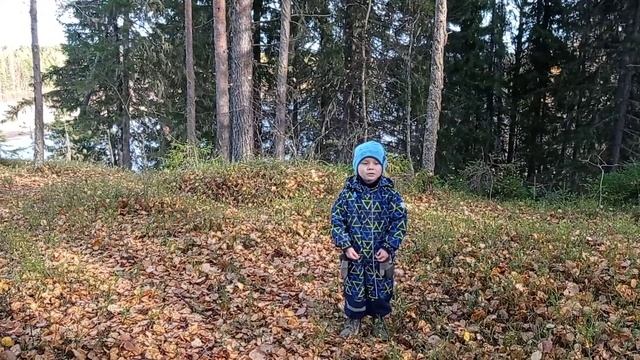 Стихотворение «Ходит осень в нашем парке» смотреть онлайн