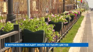 В МУРАВЛЕНКО ВЫСАДЯТ ОКОЛО 100 ТЫСЯЧ ЦВЕТОВ