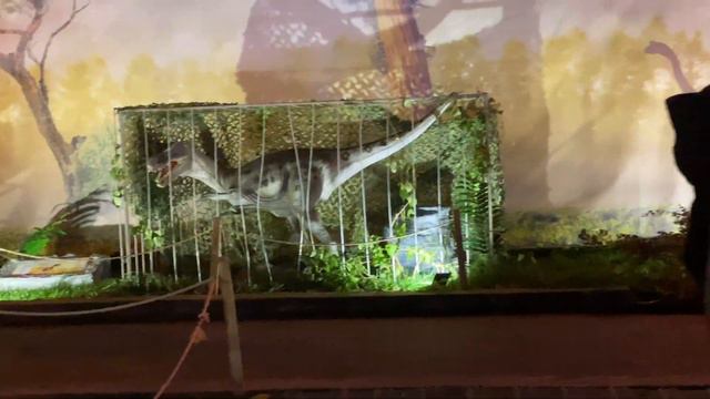Николь в парке Юрского периода🦖 смотреть онлайн