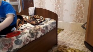 Всё пошло не по плану// Поиск жилья в Кабардинке// День 1//рум тур номера/ Отдых на море с детьми//