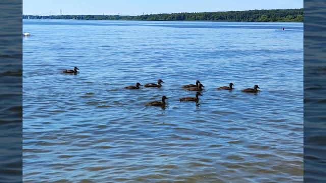Московское море смотреть онлайн