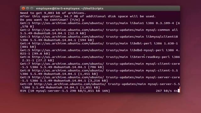 Tier5 - New Employee Training смотреть онлайн