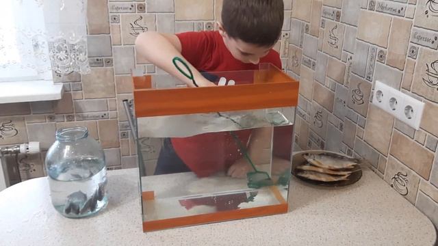 ЛОВИМ ЖИВУЮ РЫБУ, А ЕДИМ СУШЕНУЮ! ЧЕЛЛЕНДЖ смотреть онлайн