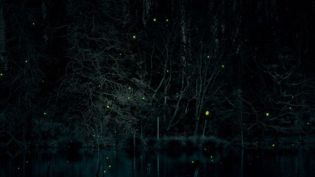 米良美一『もののけ姫』アコギ&ボーカルデュオCOVER(Princess Mononoke) смотреть онлайн