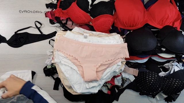 B1 Ladies ligerie (Женское нижнее белье) (19 мешков в наличии) 15 кг. 13,90€ за кг. 181 шт смотреть онлайн