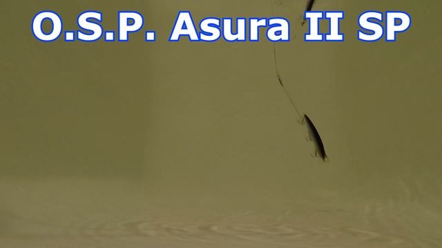 Маленькая RUDRA! NEW OSP ASURA II SP 2019.  Сравниваем C OSP Asura I SP-F-SPEC2 и Durga SP + BONUS