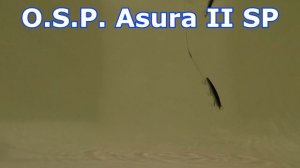 Маленькая RUDRA! NEW OSP ASURA II SP 2019.  Сравниваем c OSP Asura I SP-F-SPEC2 и Durga SP + BONUS