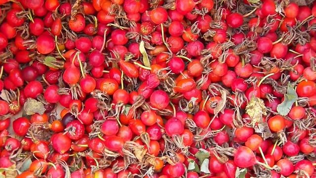 Пей шиповника настой Будешь вечно молодой смотреть онлайн