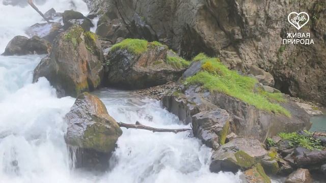 Звуки водопада, звуки горных рек, для релаксации, сна, медитации