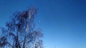 Что нельзя делать 8 марта в ПОЛИКАРПОВ ДЕНЬ. Народные приметы