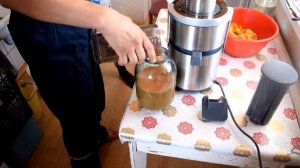 Обзор СОКОВЫЖИМАЛКА REDMOND RJ-M908