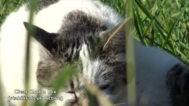 Test Sony FDR-AXP33 (FDR-AX33) смотреть онлайн