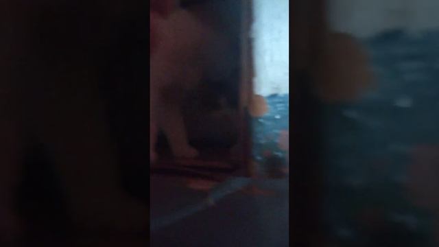 маленький человечек бегает по нашей квартире 4 части смотреть онлайн