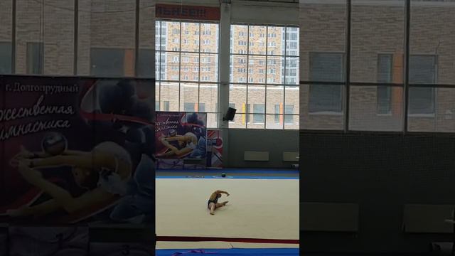 Выступление по художественной гимнастике.