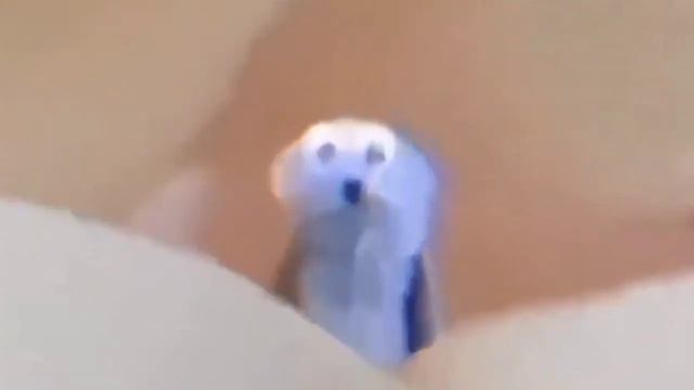 PUPPET SUNSUN издает странные звуки смотреть онлайн