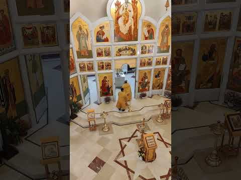 27.11.2023 Фрагмент трансляции Божественной Литургии смотреть онлайн