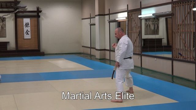 Seminar 40: Aleksey Grosman karate shotokan 6 dan kihon смотреть онлайн